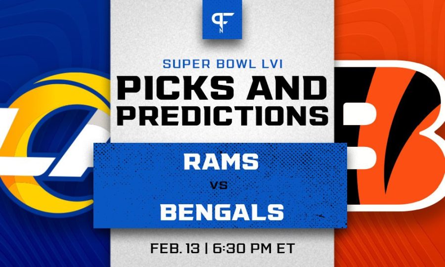 Super+Bowl+predictions