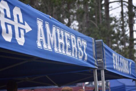 Amherst track & field qualifies individuals, relay teams for sectional meet