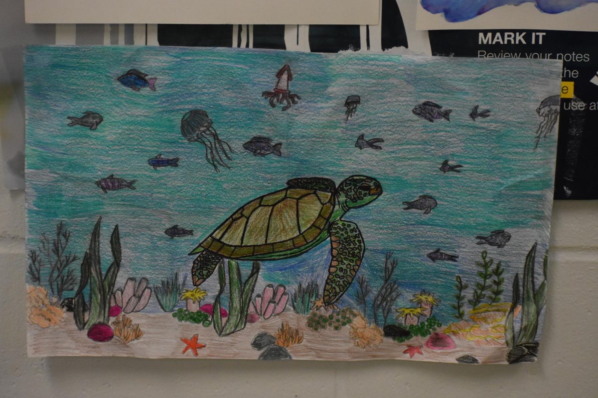 The turtle in The Old Man and the Sea as drawn by senior Samarah Campbell.