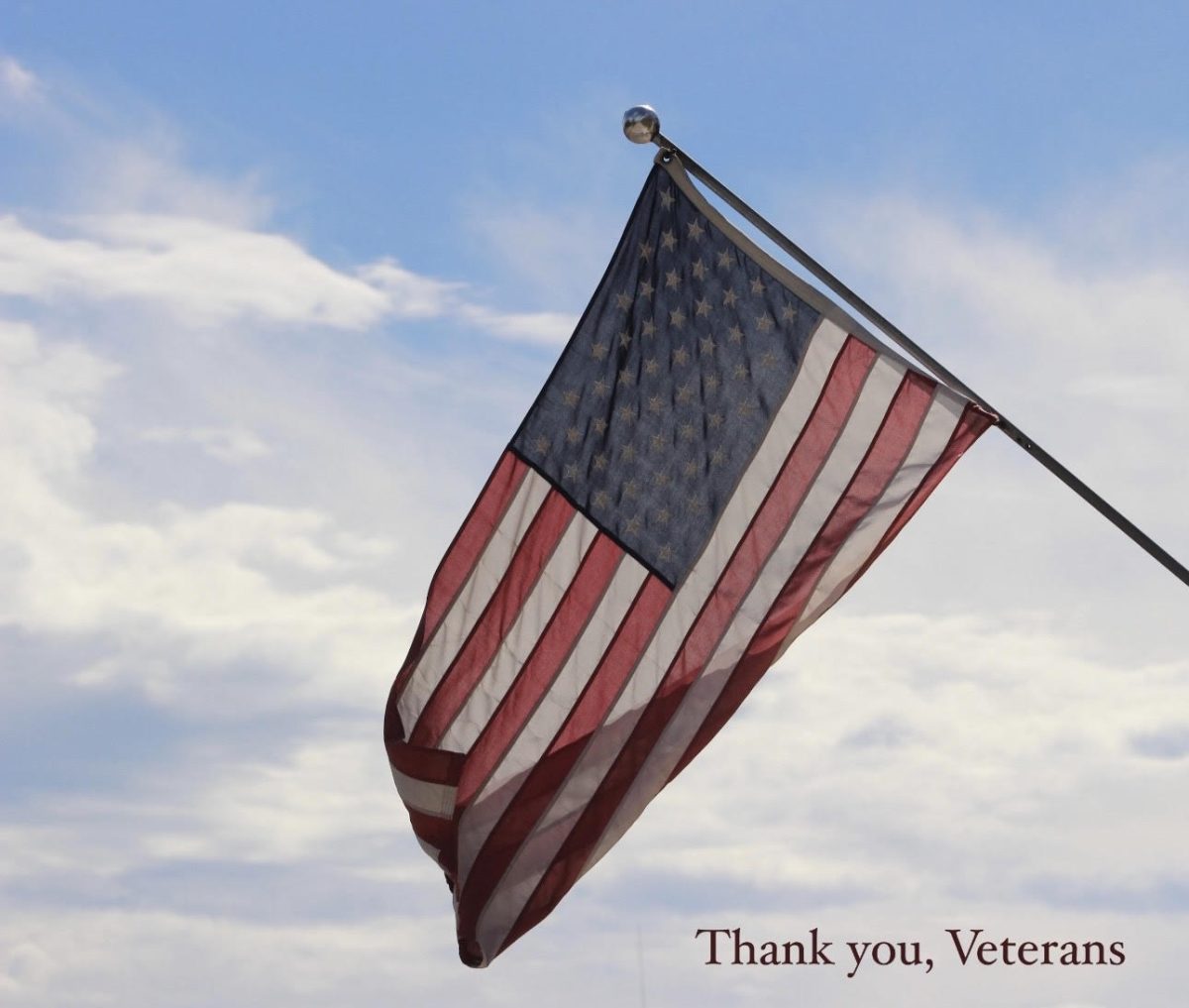 Saluting our veterans!