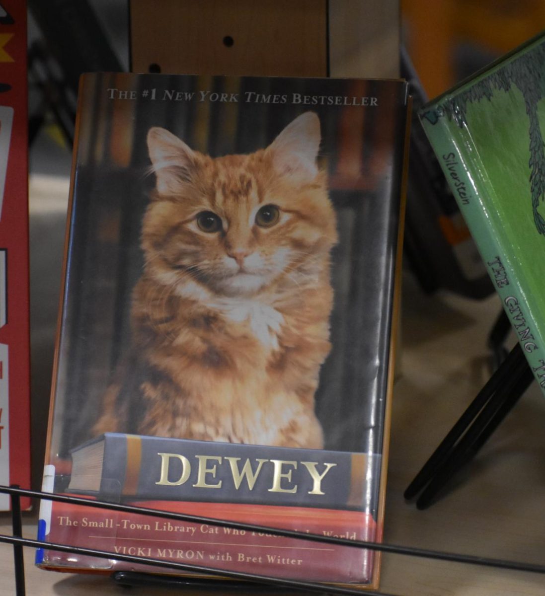 The library features Dewey, a true, heartwarming story about a stray cat who had been found in a library return box during the winter in a small town in Iowa. He had lived his life in the library, and was an extremely friendly and loveable cat.
