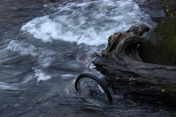 Bike lays swamped in the Tomorrow River at Stedman Park.