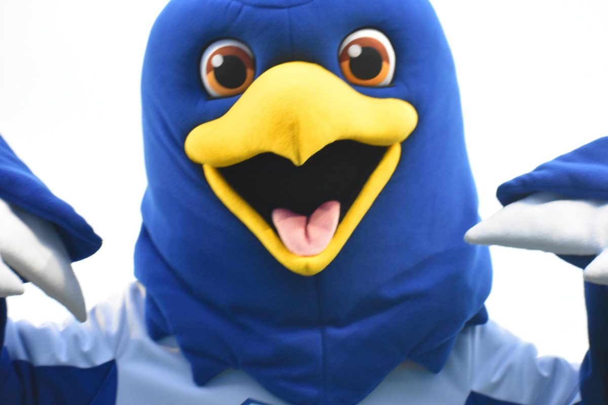 From Sidelines to Spotlight: Freddie Falcon's Unwavering School Spirit