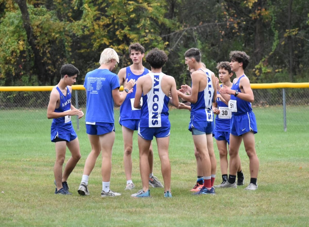 Boys Finish Top Five at Cross County Sectional Meet