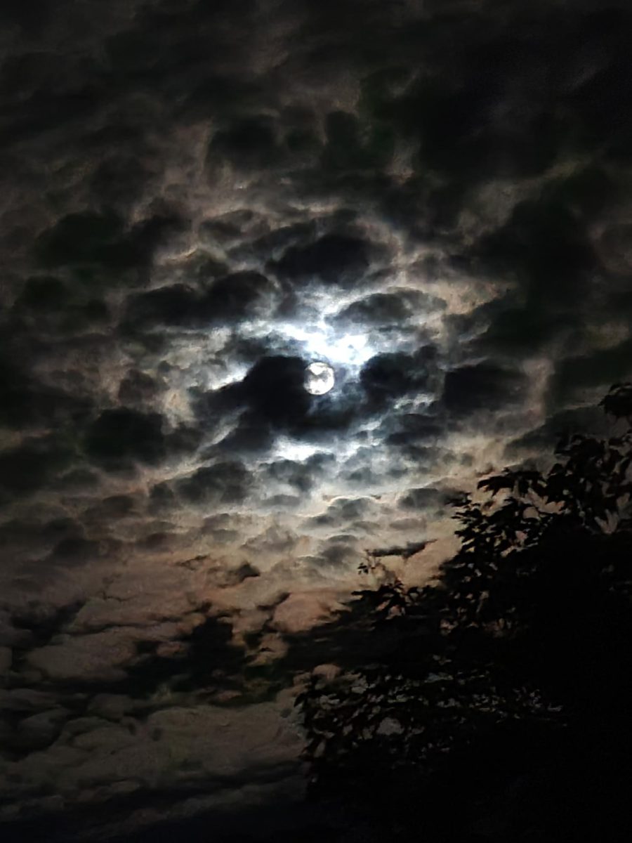 Lunar Whiteness