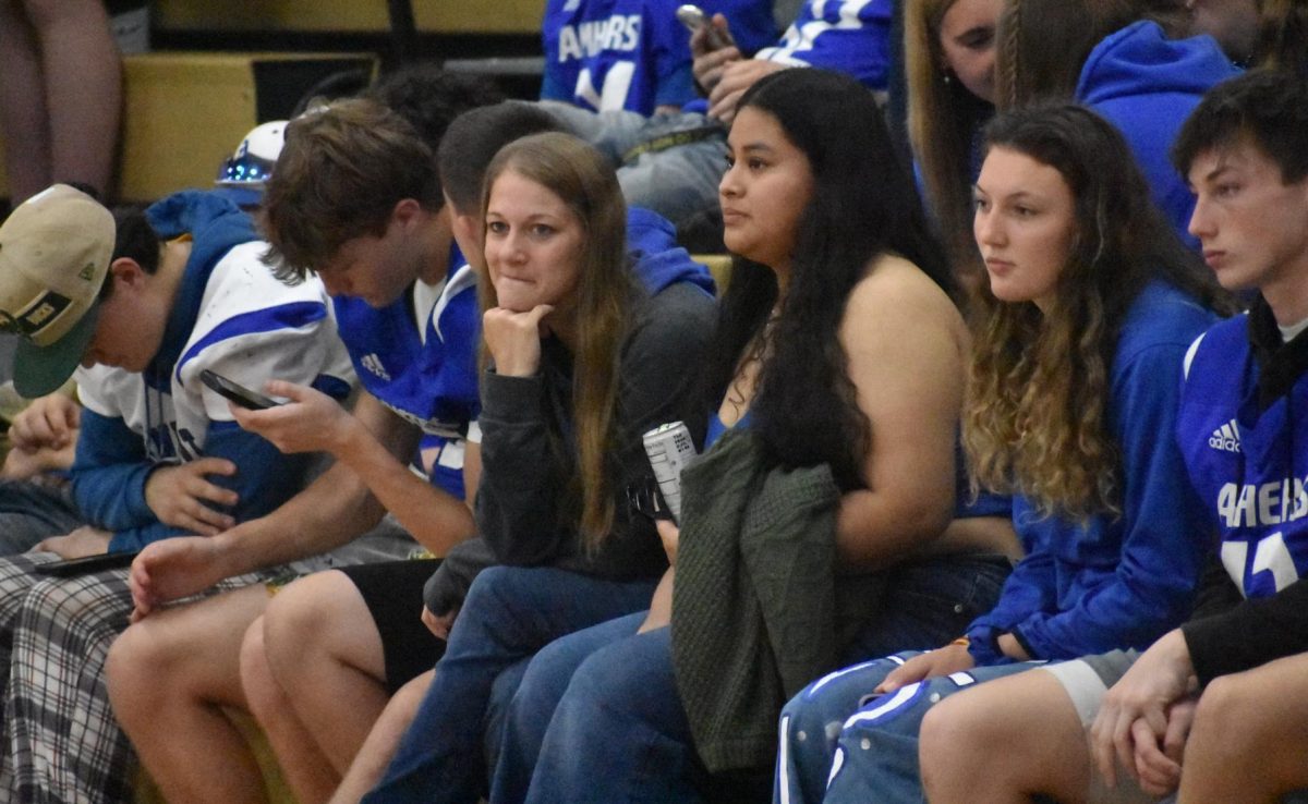 New Cell Phone Law Brings Varied Opinions
