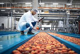 Food Engineering is Growing Field