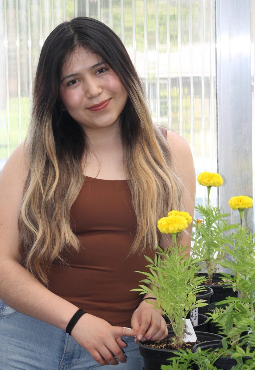 In the Amherst High School greenhouse, Jassmin, a transfer student from Mexico, admires the flowers.